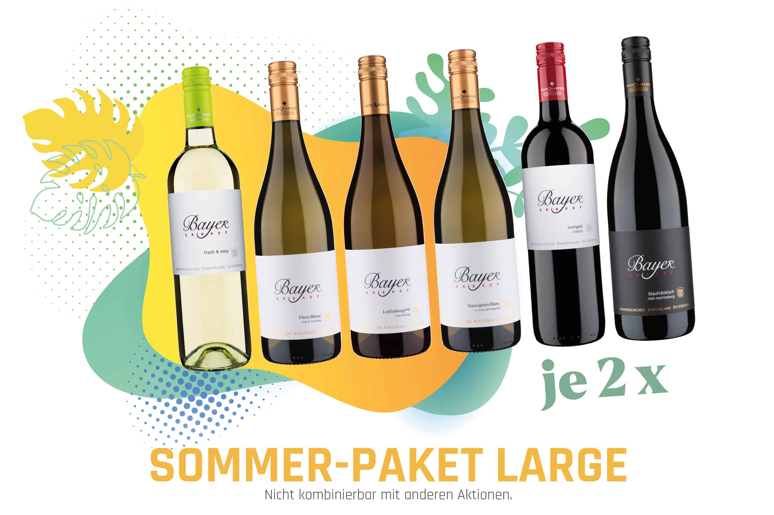 Featured image for “Sommer-Paket LARGE”