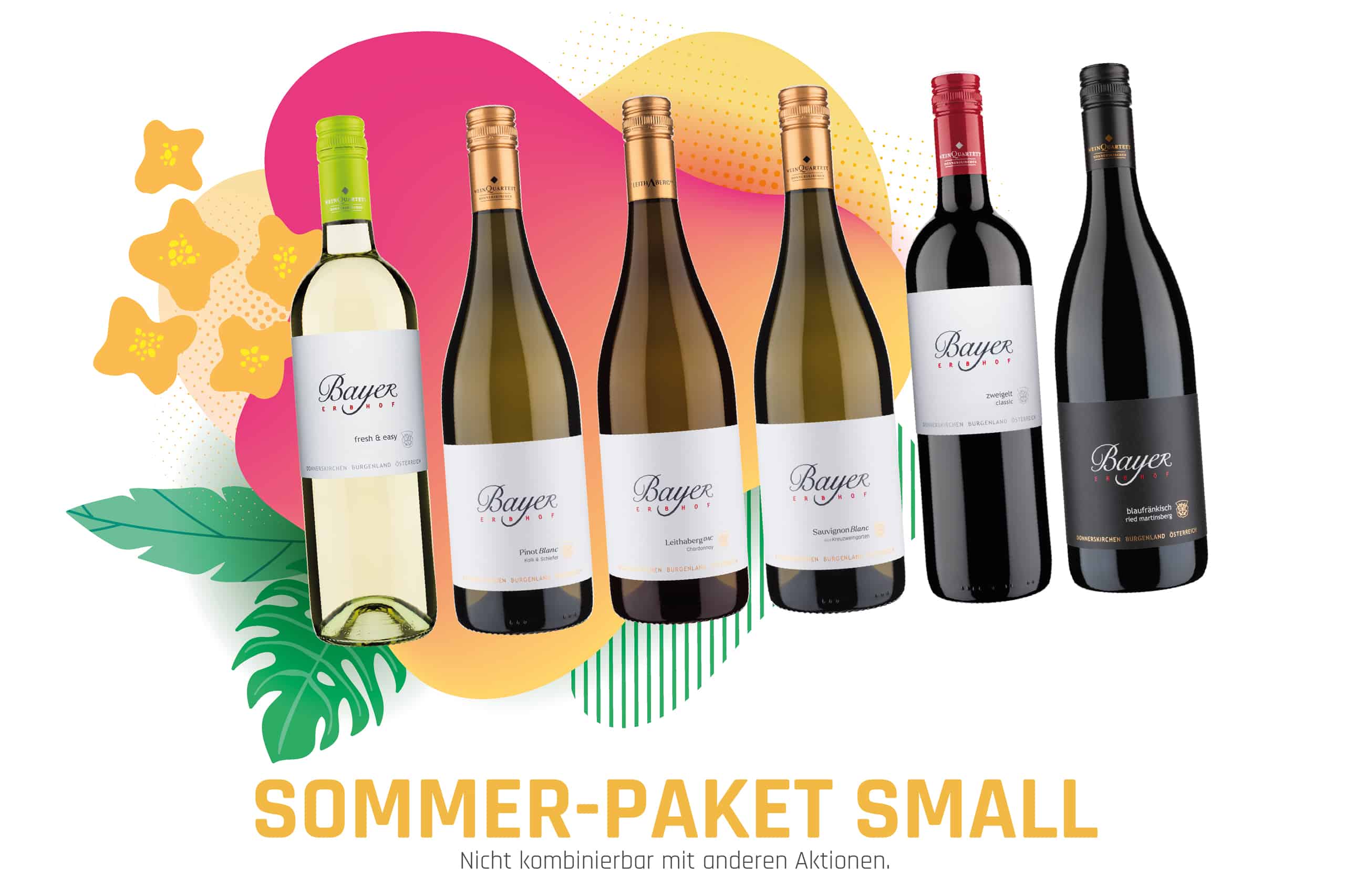 Featured image for “Sommer-Paket Small”